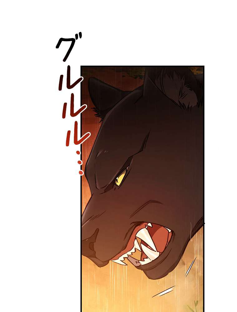 P63