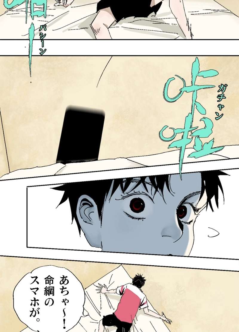 P61