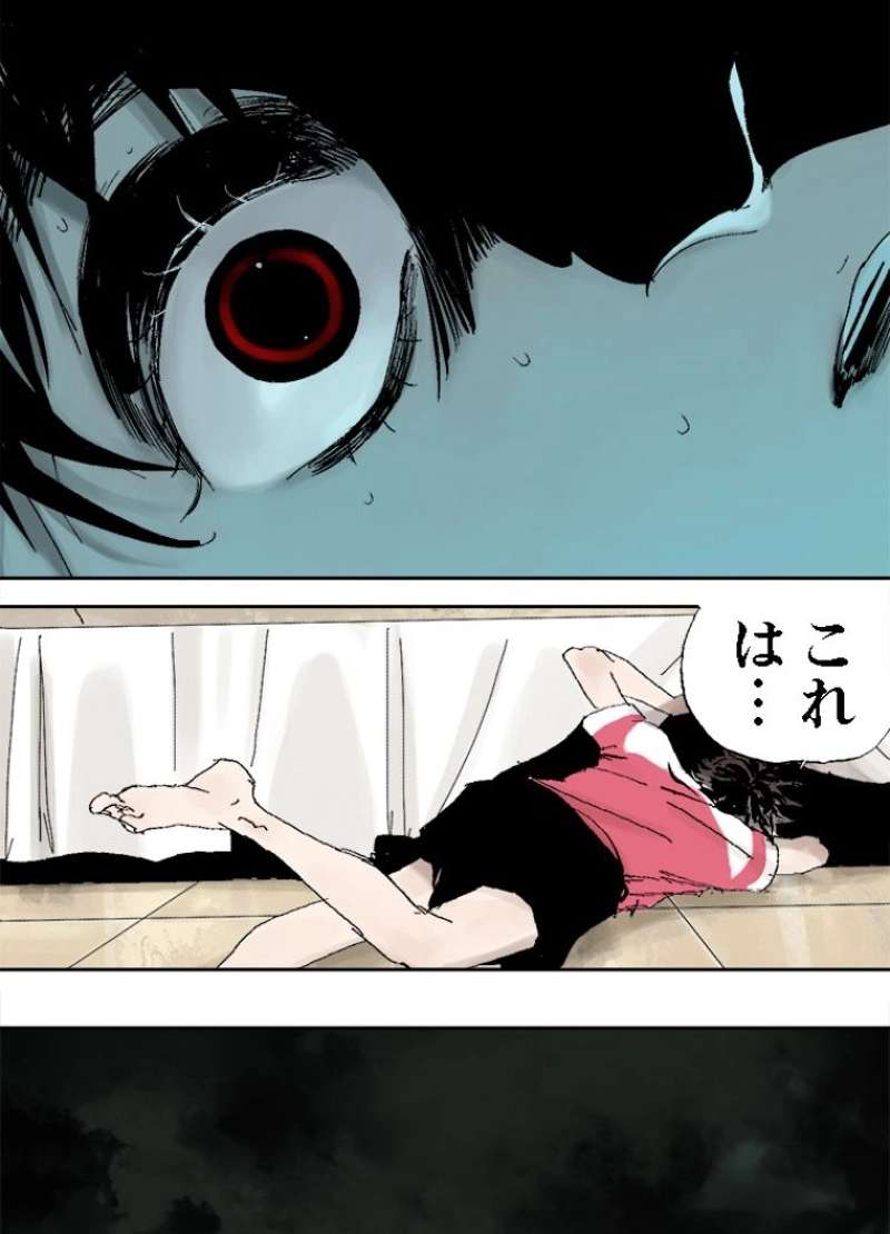 P66