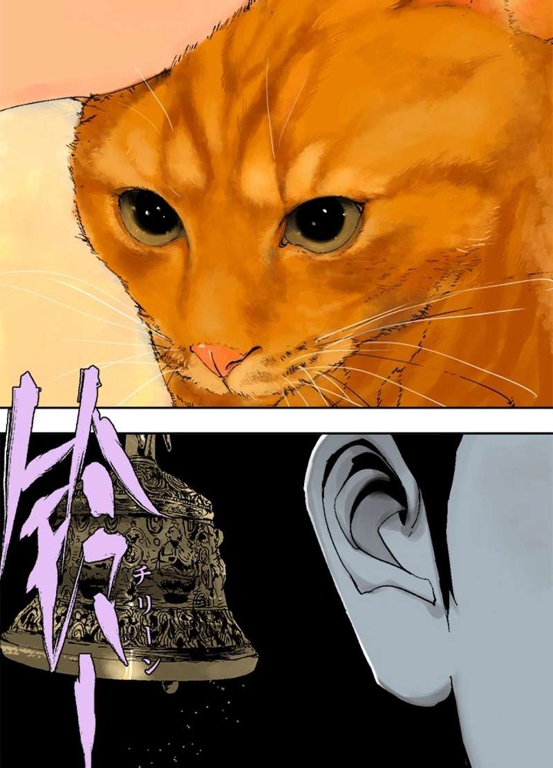 P33