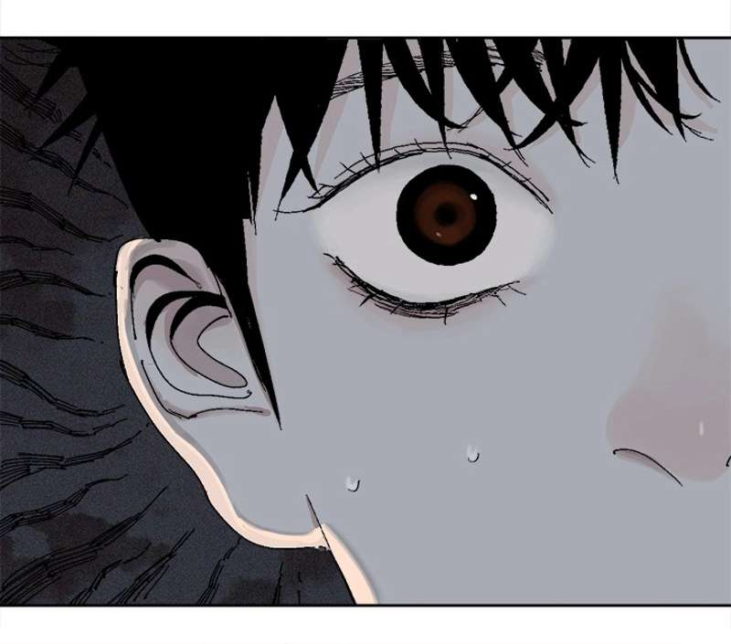 P82