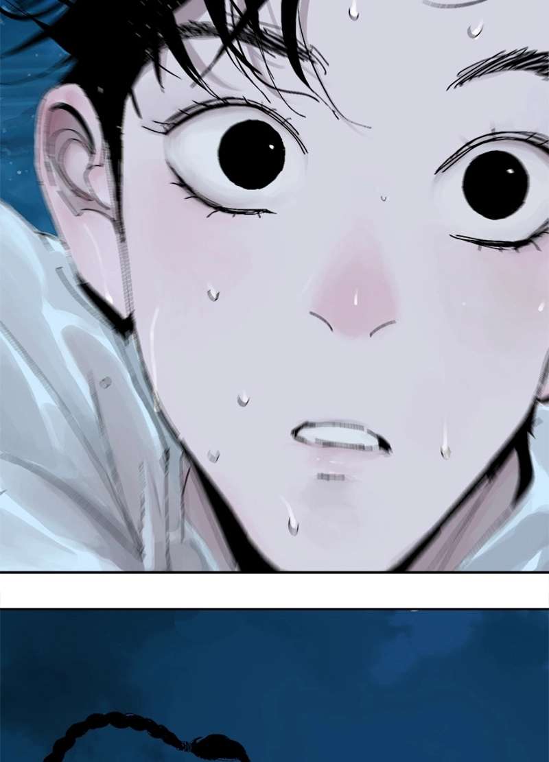 P66