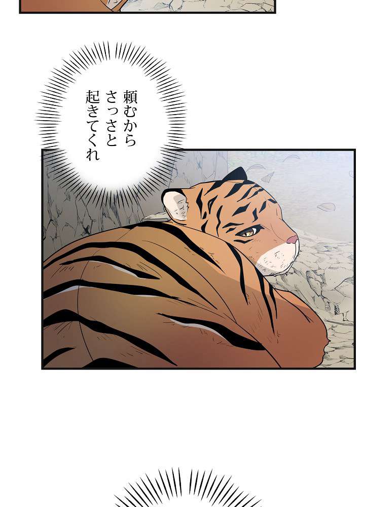 P86