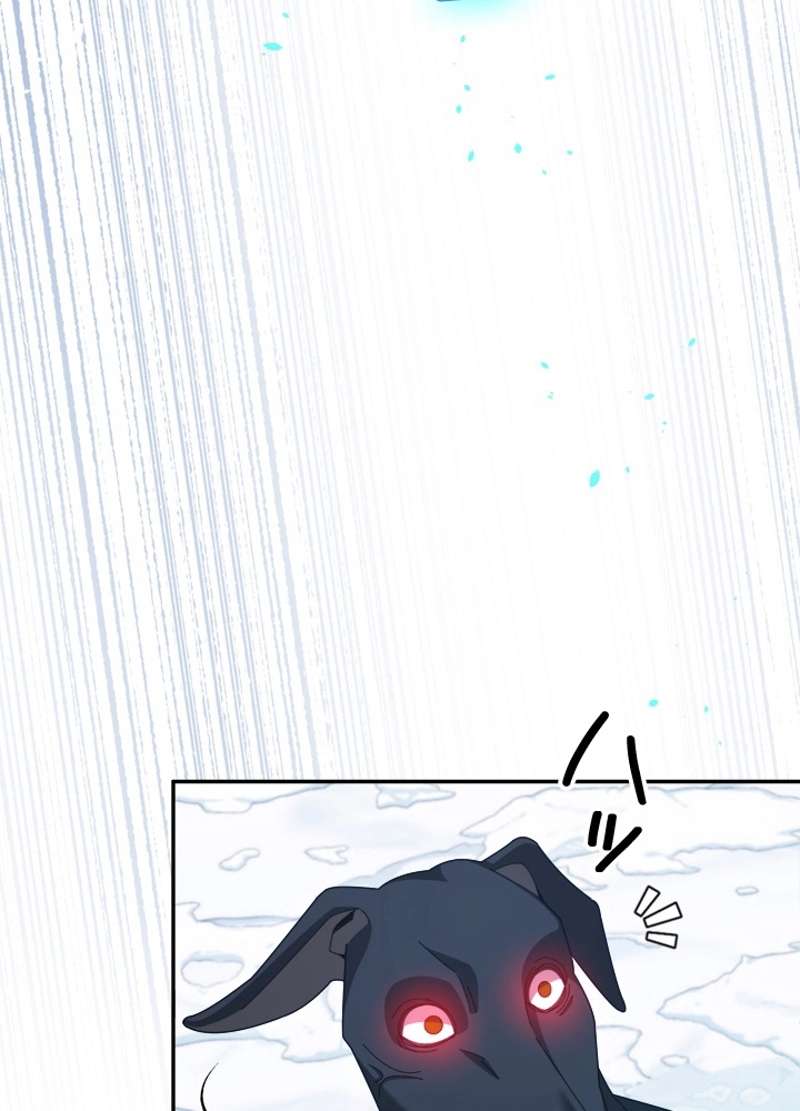 P48