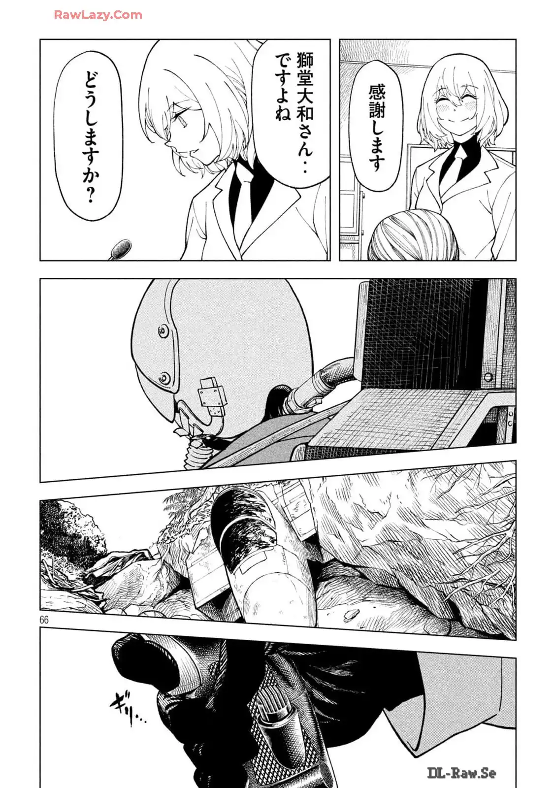 P66