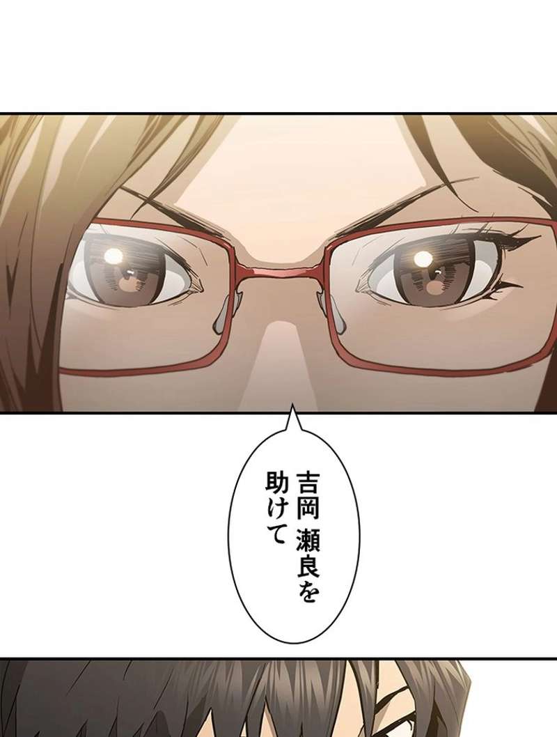 P53