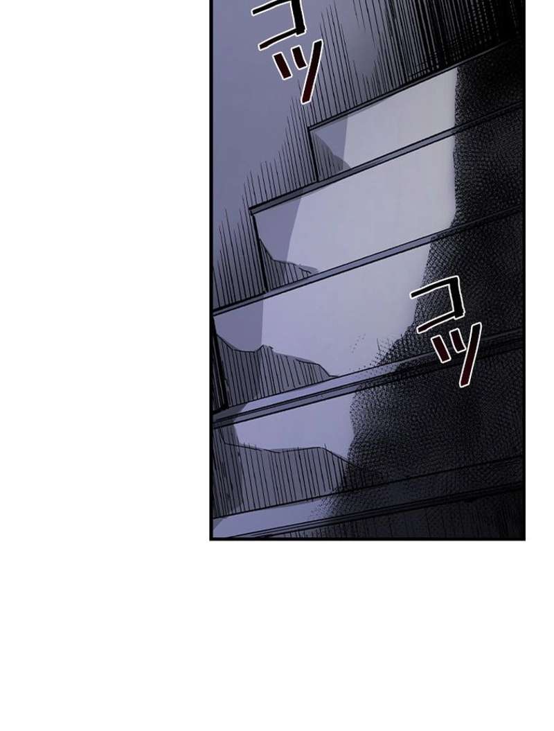 P63