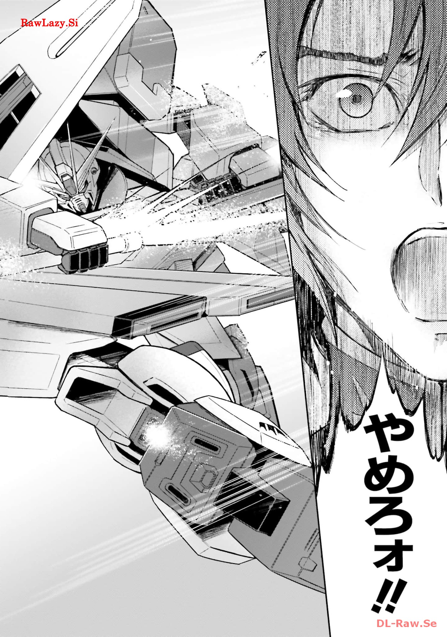 P25