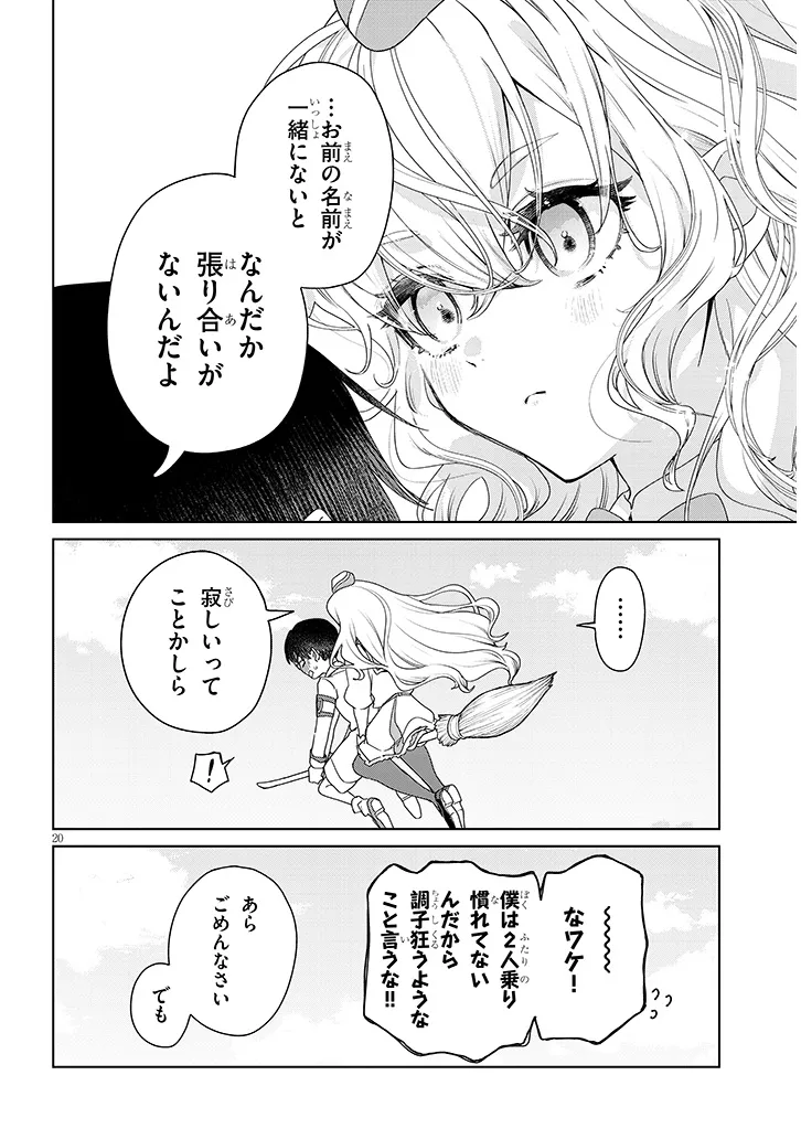 P20