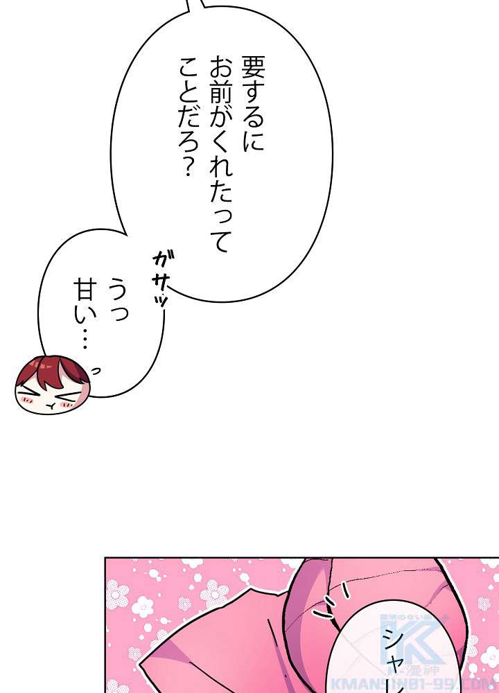 P58