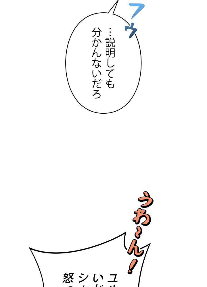 P44