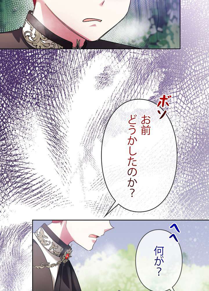 P65