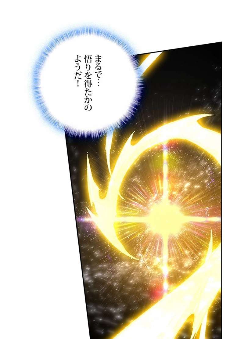 P53