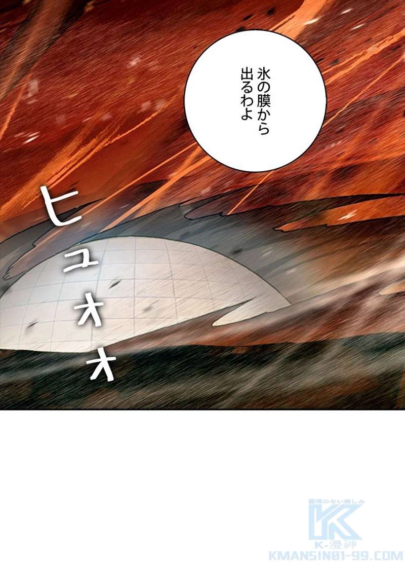 P61