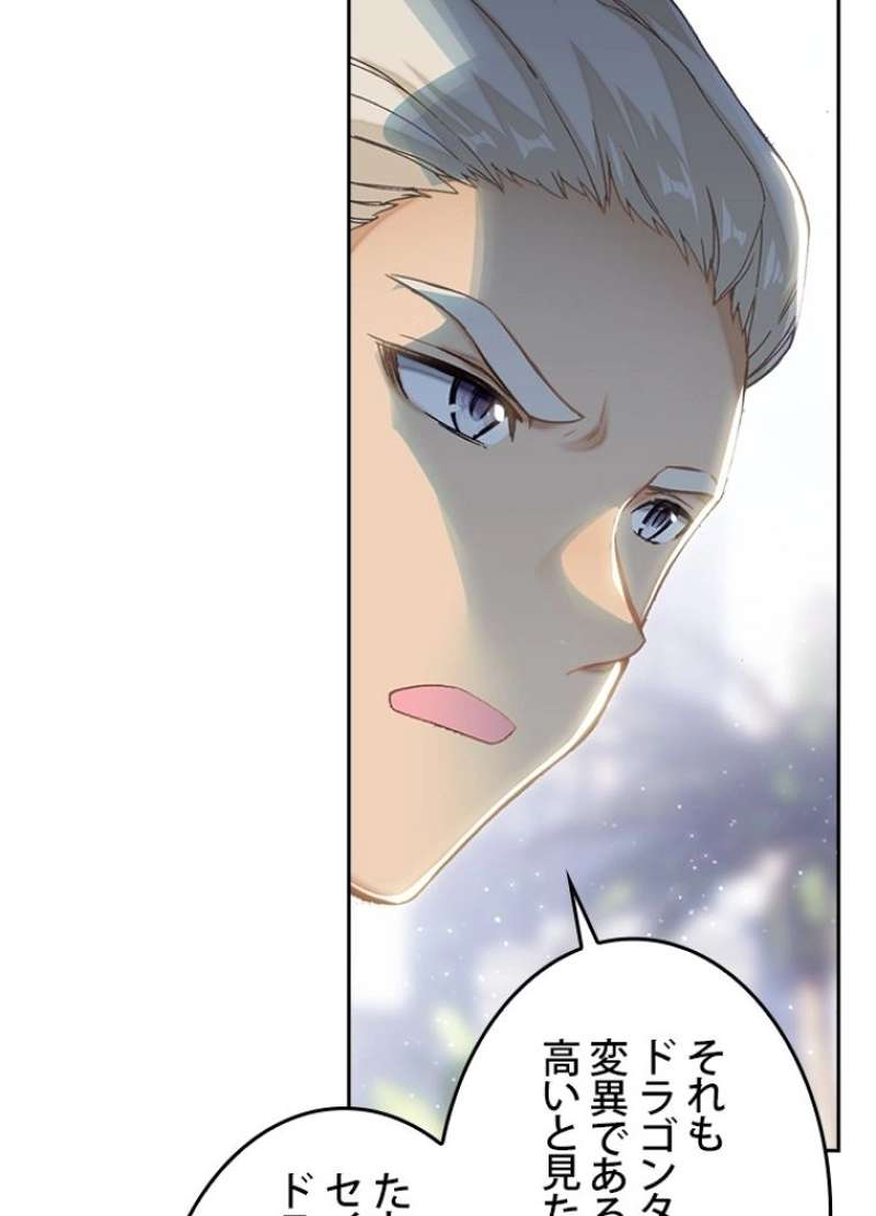 P48