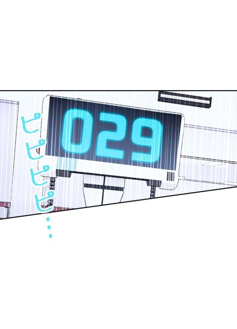 P53