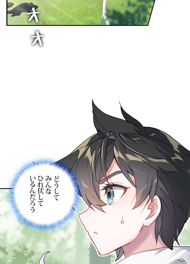 P66
