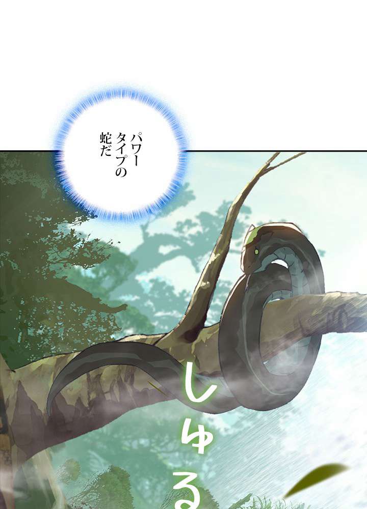 P66