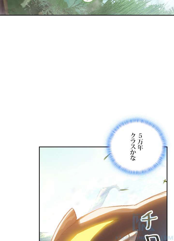 P67