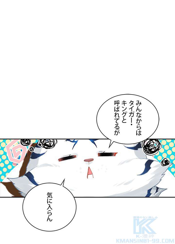 P58