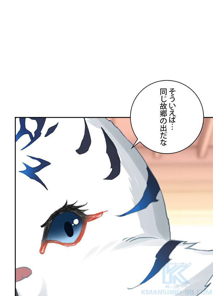 P61