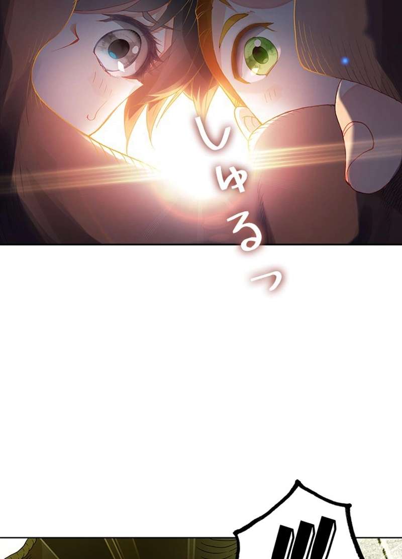 P48