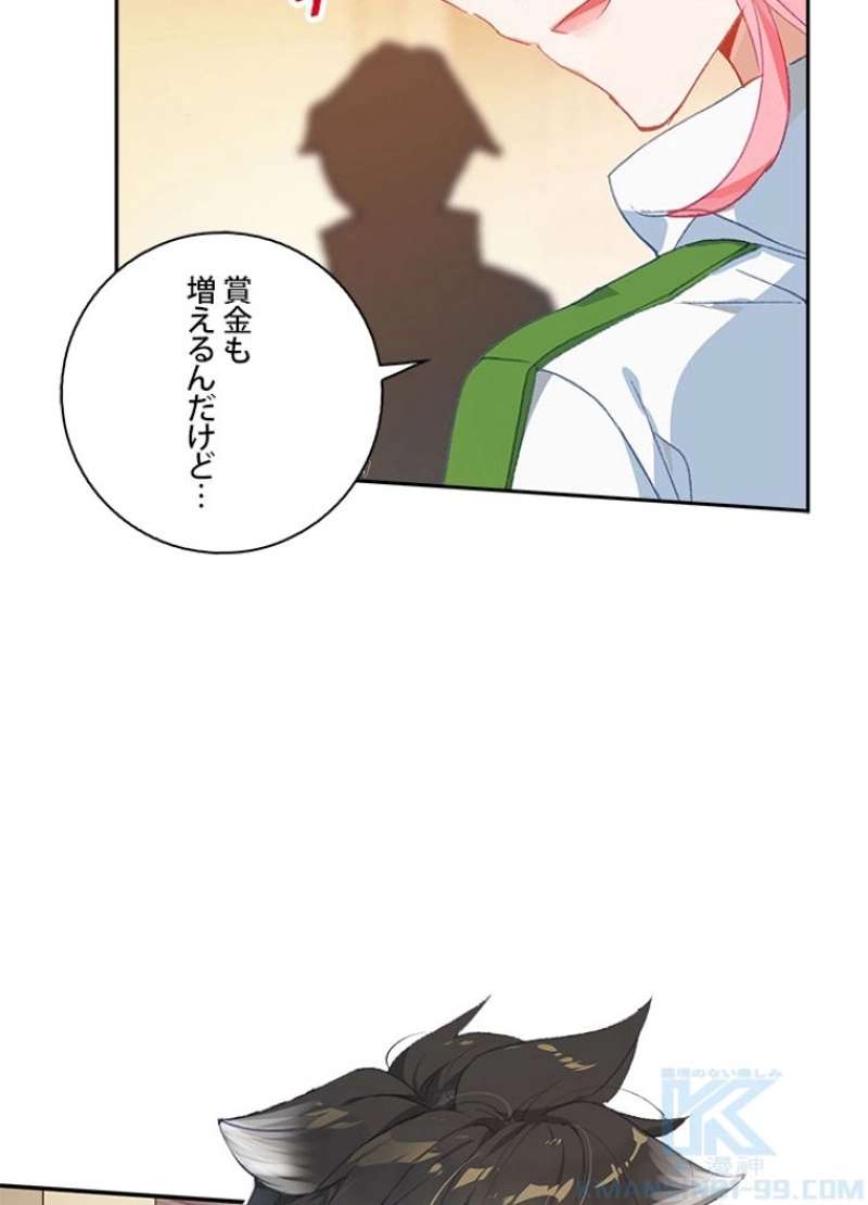 P61