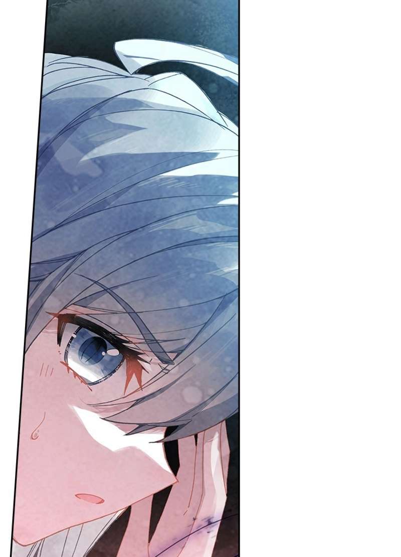 P53