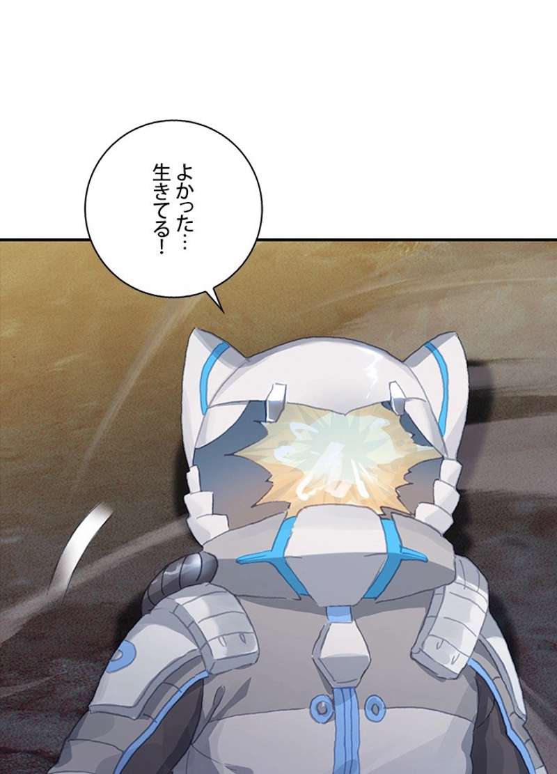 P66