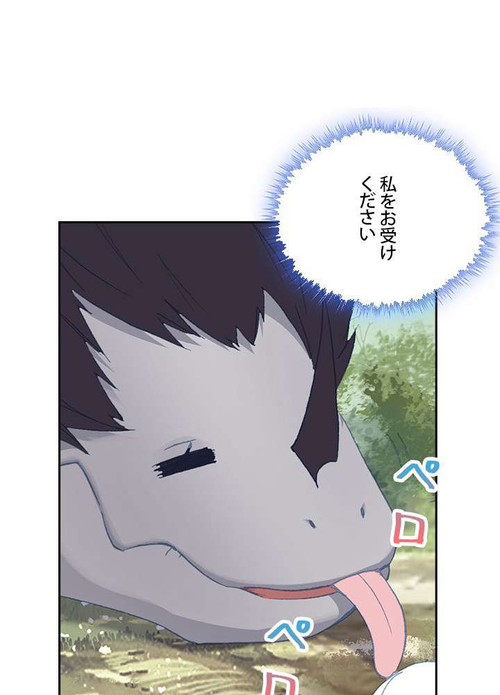P53