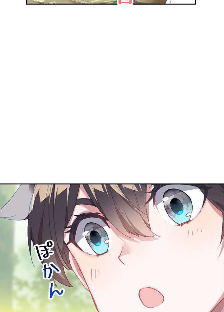 P54