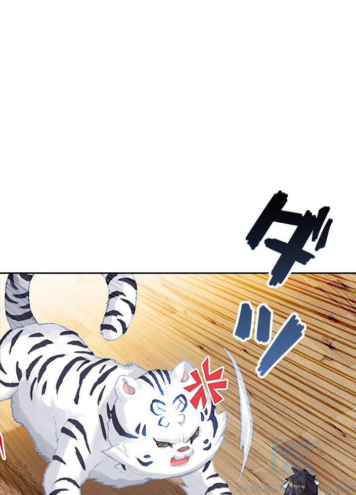 P61