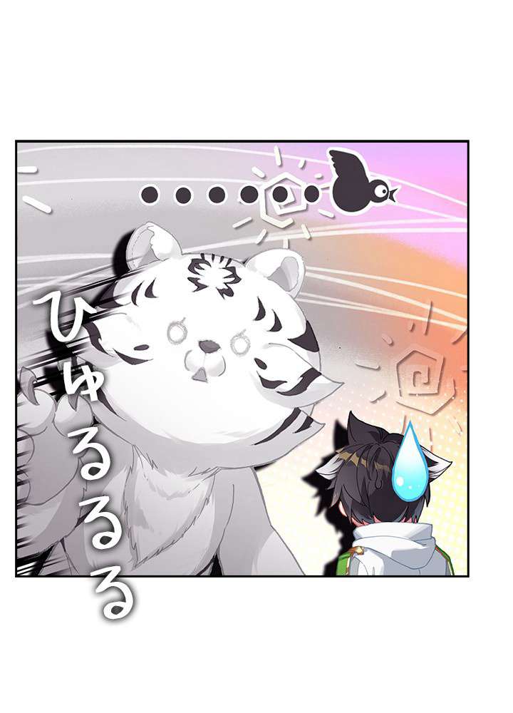P66