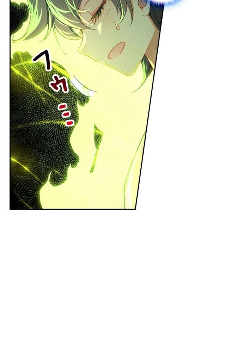 P63
