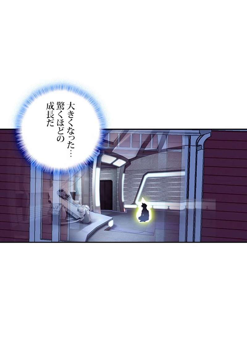 P53