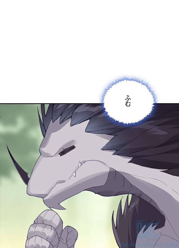 P58