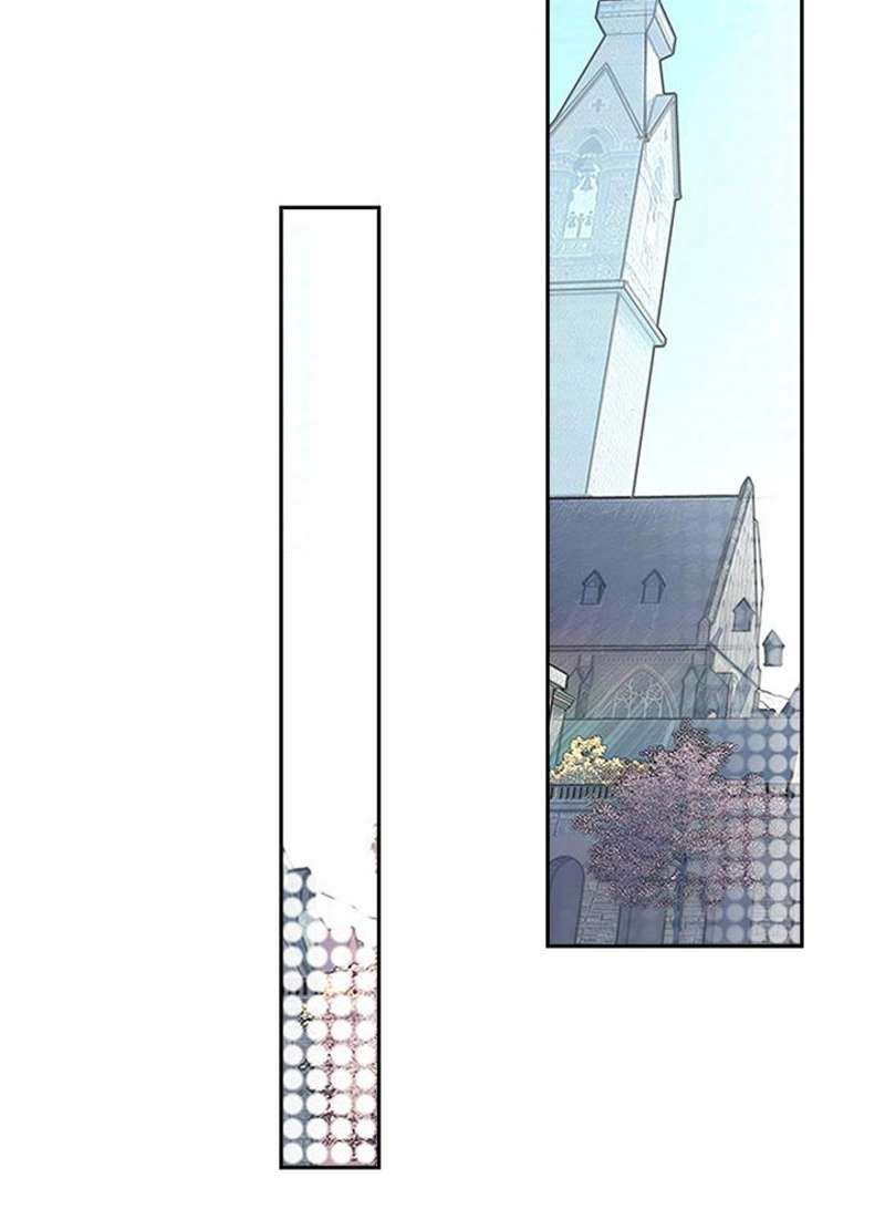 P63