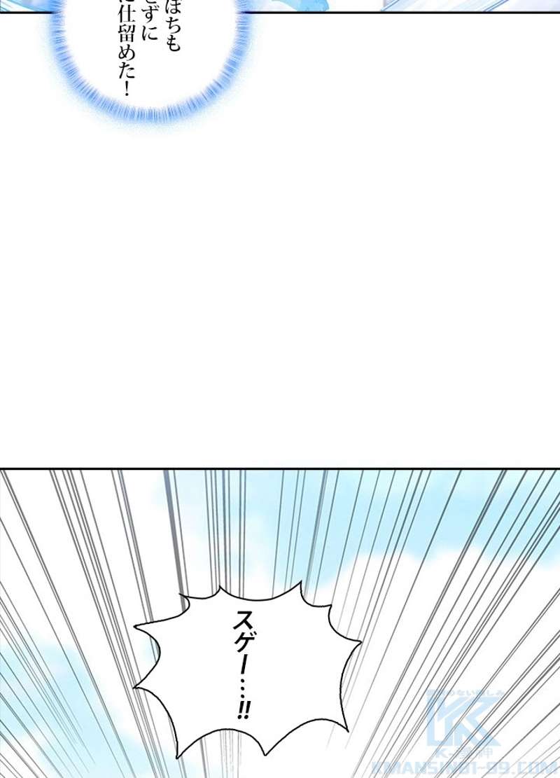 P58