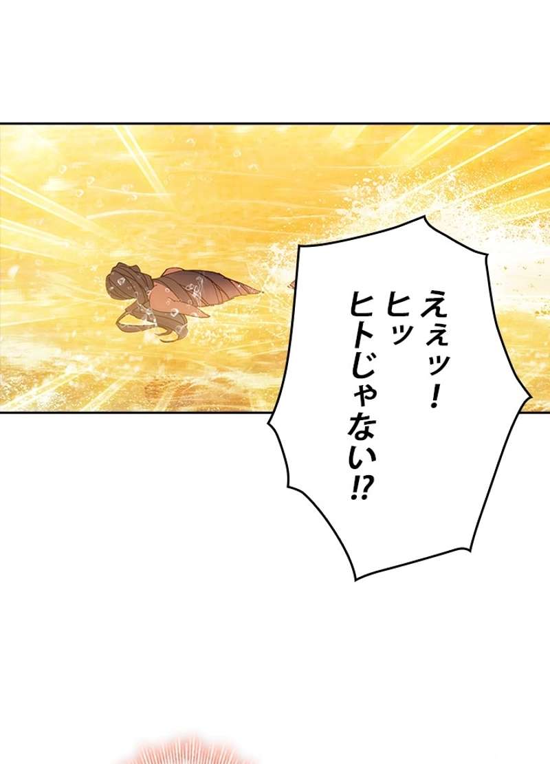 P41