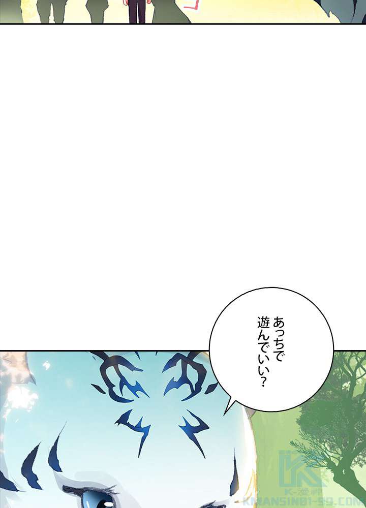 P64