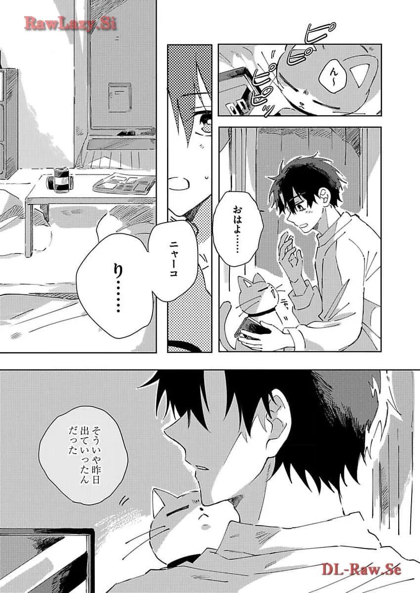 P31