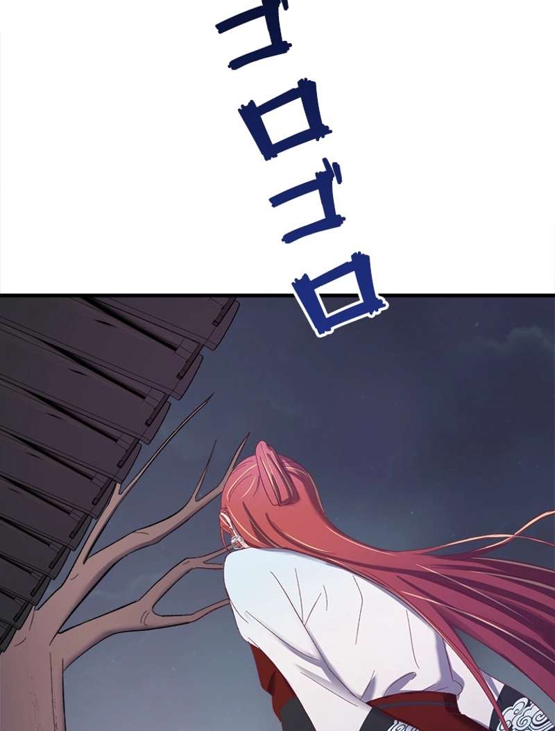 P53