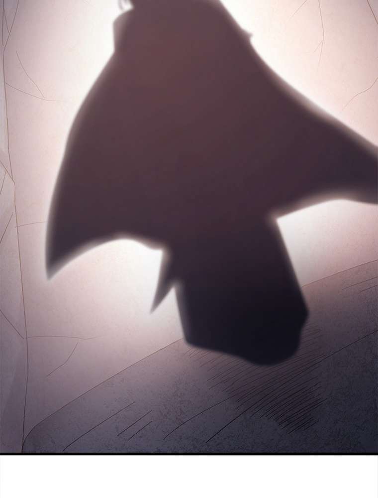 P66