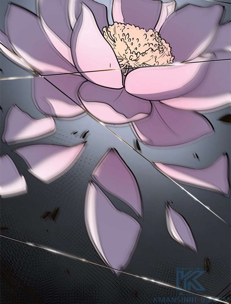 P52