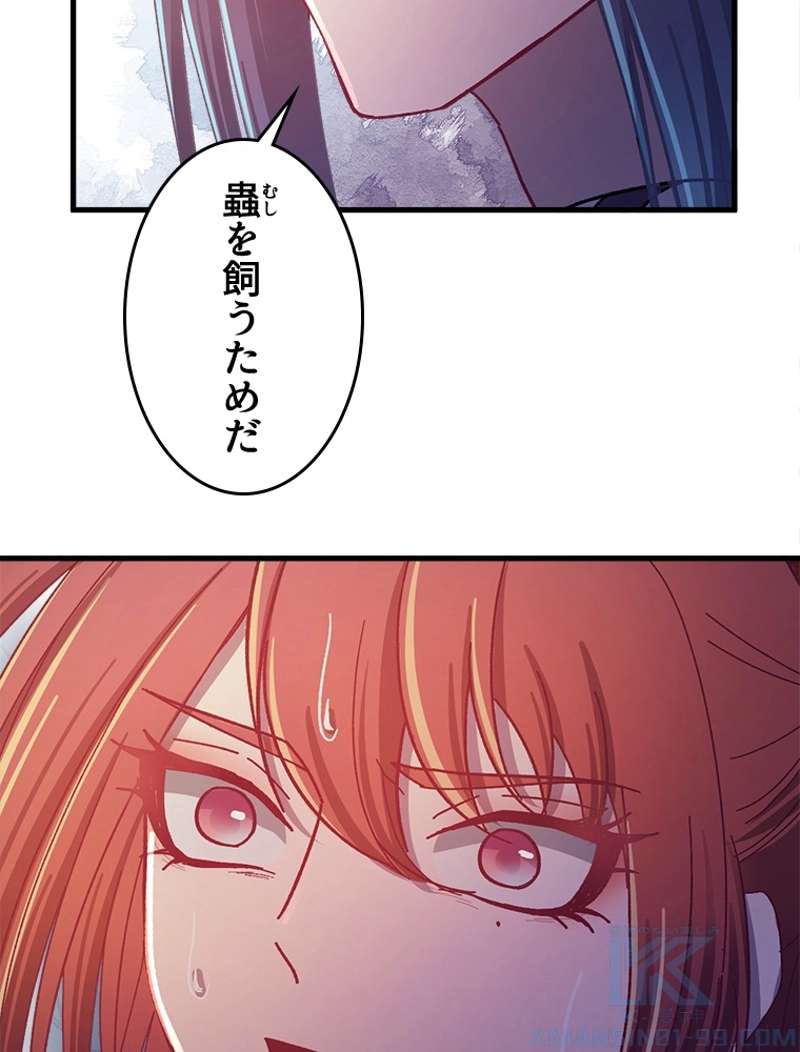 P61