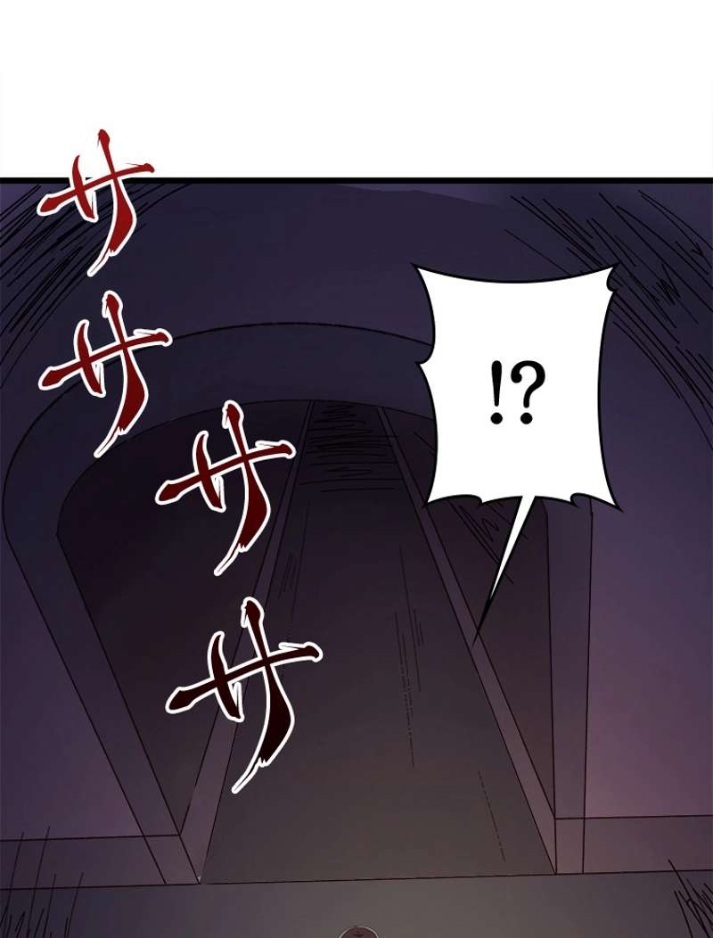 P66