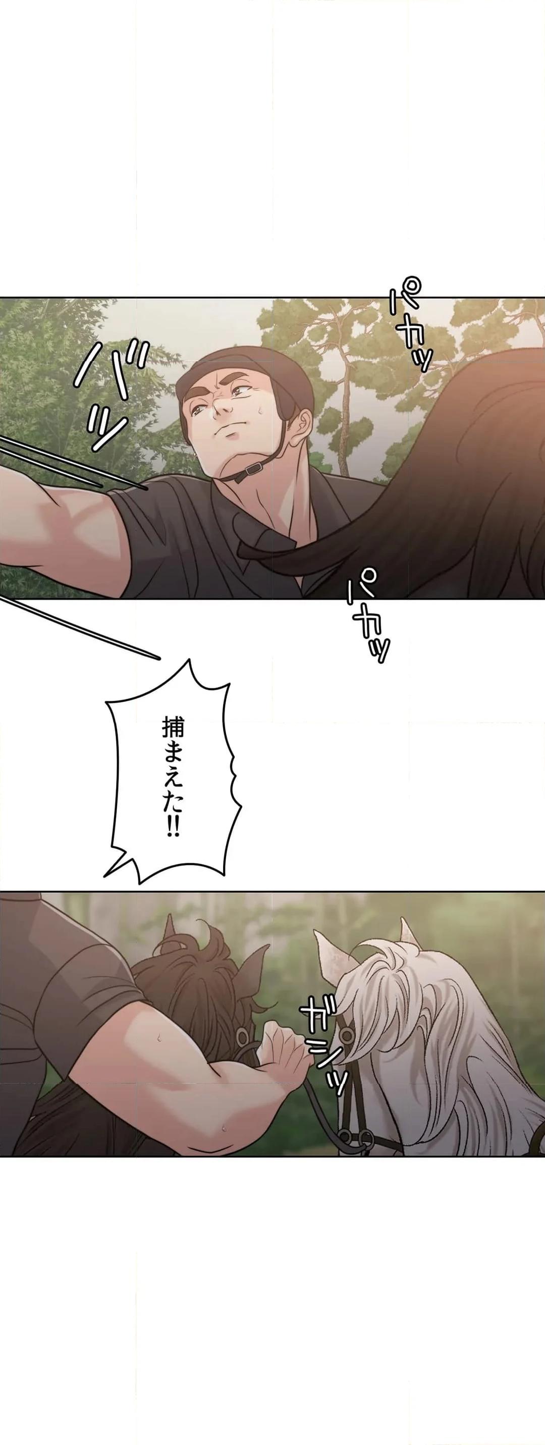 P44
