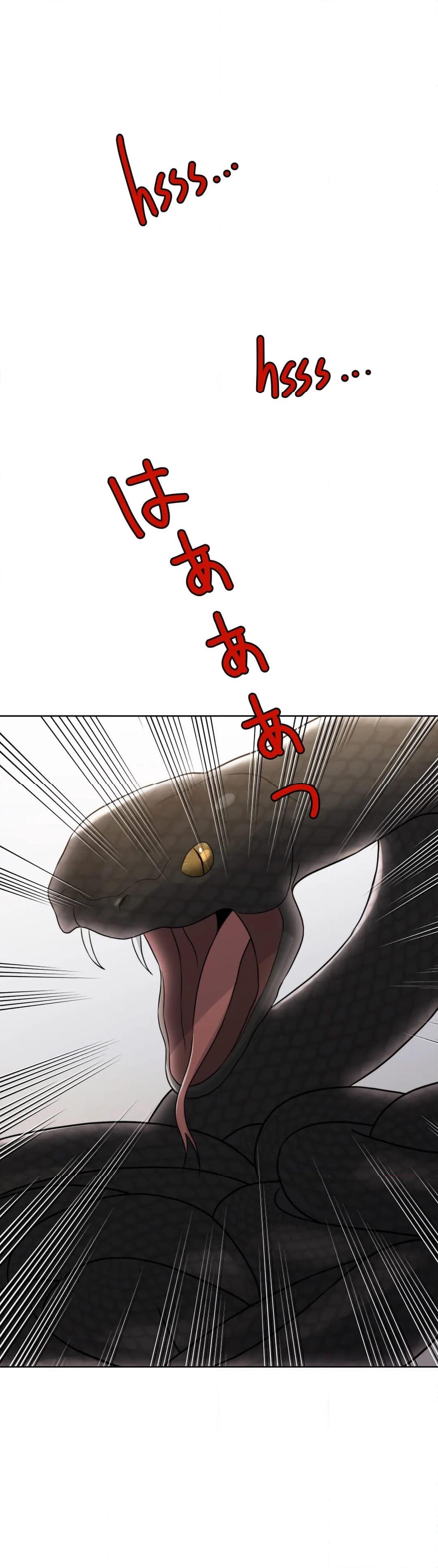 P55