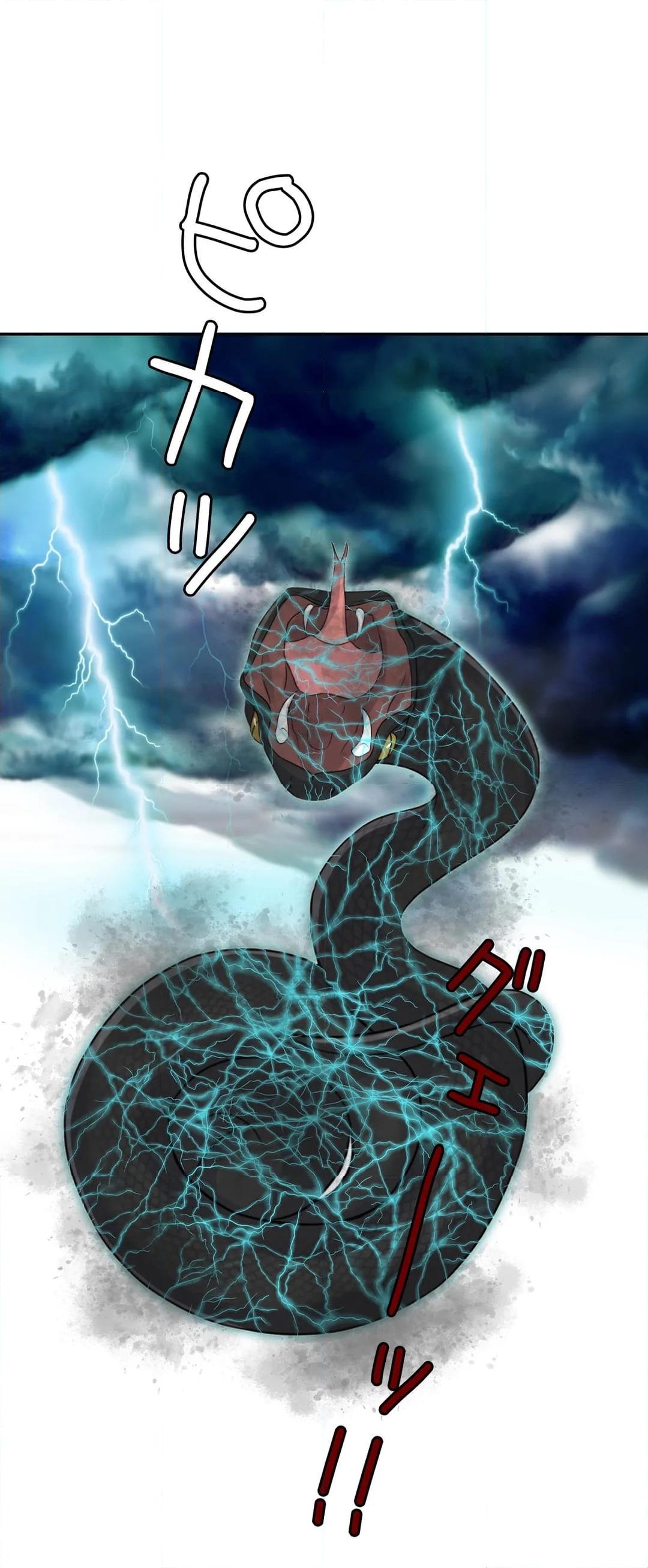 P54