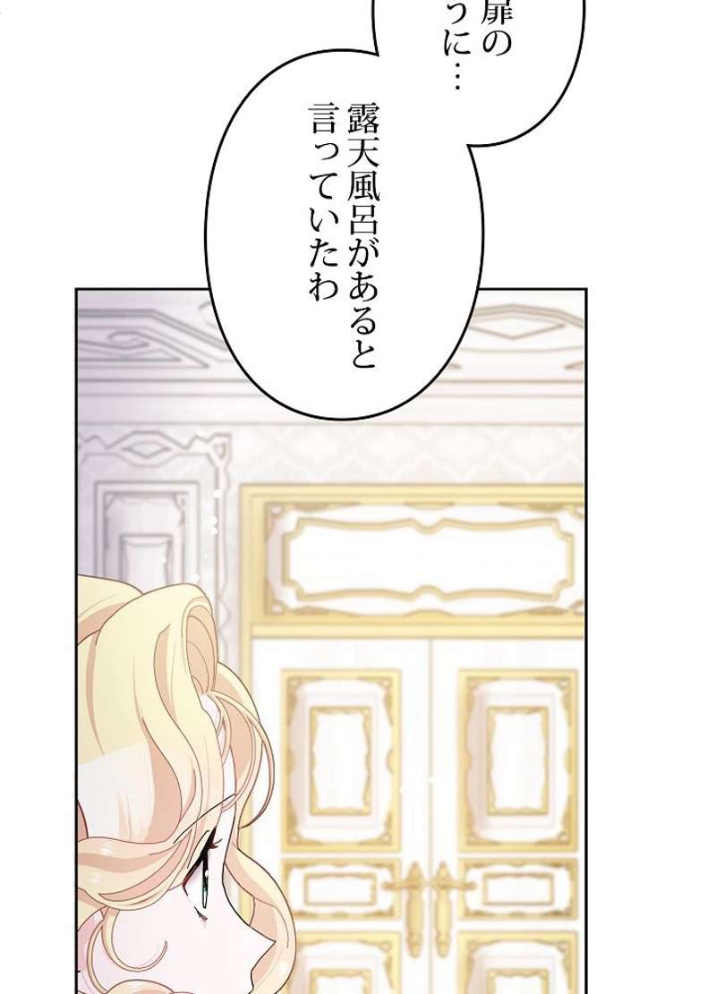 P66